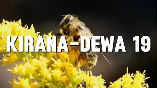 Kirana - Dewa 19 (Lirik)