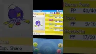 R8 my Pokemon Diamond team