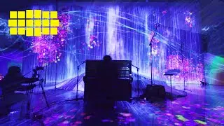 Joep Beving – Ab Ovo from PREHENSION | Yellow Lounge (live from Tokyo / 2019)