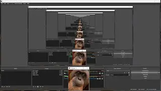 How to fix desktop capture in OBS