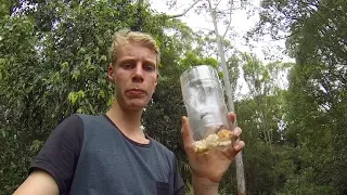 D.I.Y fish trap and announcement.