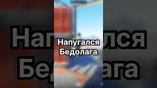 Мне его жалко стало