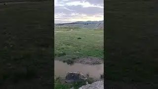 Güzel Manzara