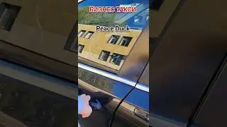 Жду всех в телеграм. Ссылка в профиле канала! | Бизнес Такси Москва #яндекстакси