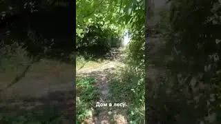 Нашел дом в лесу