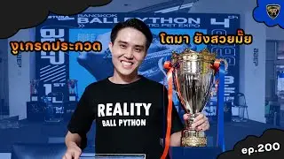 งูบอลประกวด สวยขนาดไหน?【 EP.200| 4K 】#realityballpython #ballpython