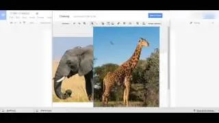 Using Google Draw While Writing in Google Docs