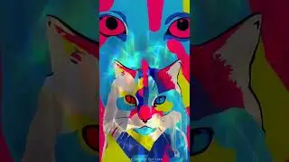 The Matrix Cat 