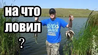 Много окуня на спиннинг