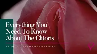 Everything You Need To Know About The Clitoris - Presented by Velvet Box - Product Recommendations