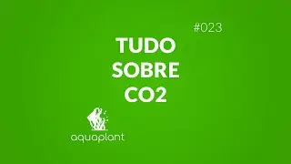 Tudo sobre CO2 em aquários plantados - #023