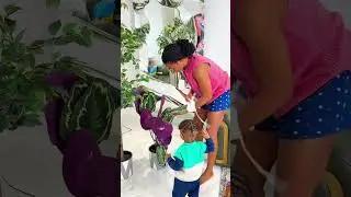 Day in the life of a SAHM