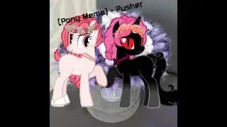 [Pony Meme] - Pusher [Collab by Екатерина Шалыгина]