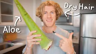 How I Use Fresh Aloe Vera to Fix Dry Hair - Before and After