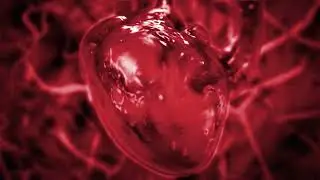 The Spacing Effect - I Feel You - Motion Video