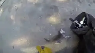 Спасли котенка 🐈