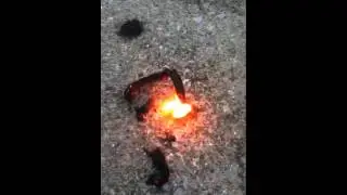 Glow worm on the 4th