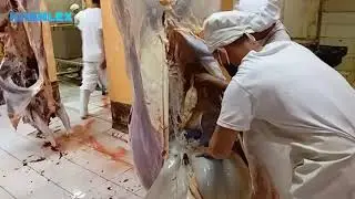 BEEF,EVISCERATION,BY MASTER JOPEL/khenlex vlog
