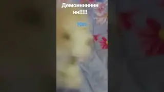 демоооооон!!!!