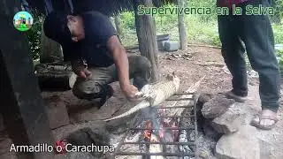 Cazamos una CARACHUPA