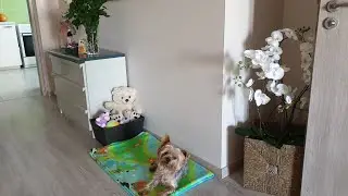 С ЛЮБИМЫМ В ПОСТЕЛИ УТРОМ ДОБРЫМ💖💖💖