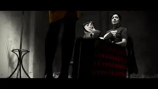 EMIR & FROZEN CAMELS - FLASTER