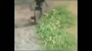 Benim rüyaların saçmalık seviyesi