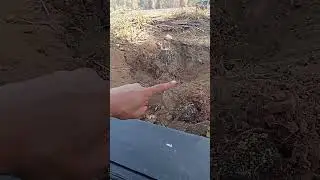 Белая березка, была....
