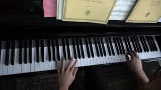 improvisation no187 - Nocturne in D Major (Kyle Landry)