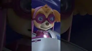 Skye en het gestolen skateboard! - #PAWPatrol Nederlands #Shorts