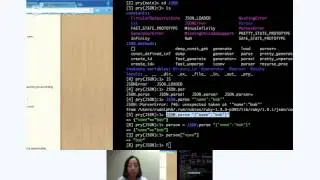 Sinatra-JSON Challenge Intro