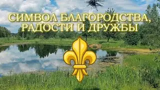 Символ благородства, радости и дружбы