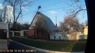 Дтп Саранск Чайка