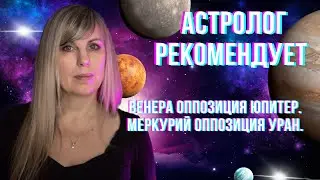 27 октября 2024 г.