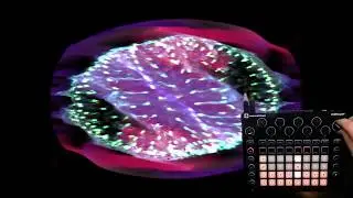 Novation Circuit - Little Tease