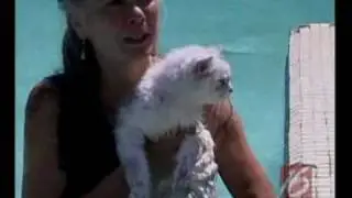 Cats Learning to Swim