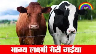 दूध गईया की | Doodh Gaiya Ki | By Dr.Ashok Sinha | Saptrang Poetry