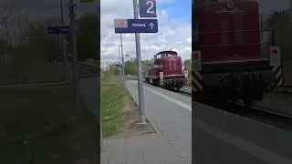 Durchfahrt einer Diesellok der BR 295 952 "Wittinger Bahn" den Bahnsteig entlang!