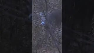 “Oklahoma Buck Truck” over on the MeatEater channel! #hunting #bigbucks #bowhunting #buckwild #buck