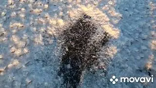 Деревня Заболотье. Сасовский район.