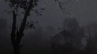 Misty Dark  Rain Sound To Help you Fall Asleep Quickly