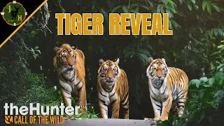 TIGER Dev Diary Debrief