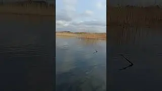 6 вересня 2024 р.