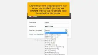 Plesk End User Login Instructions