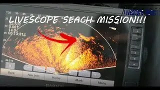 Livescope for a dog? (Sad day!)