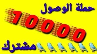 حملة #10000مشترك :اشترك مع الاسود 🦁🦁🦁🦁