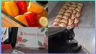 Antipasti. Tyson is sick. Medicine box