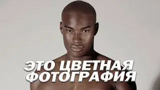 КУДА НАС ПРИВЕЛА ТОЛЕРАНТНОСТЬ