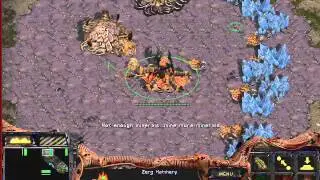 StarCraft Brood War [FPVOD] azbuka sc zerg urok2