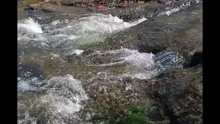 ASMR Greenville Falls part 2 #asmr #asmrsounds #asmrvideo #youtubevideo 
